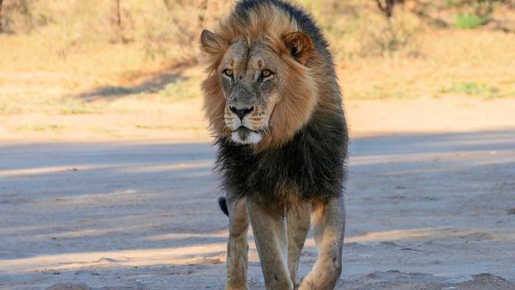 Botswana 2025