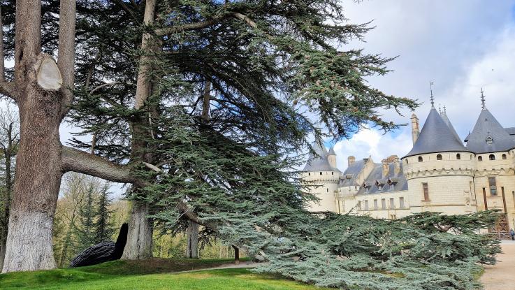 Amboise 2025 - Foto