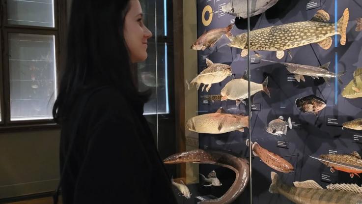 Exkurze do Národního muzea v Praze