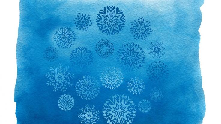 Mezinárodní vánoční výstava