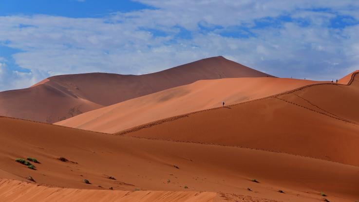 Příroda divoké Namibie