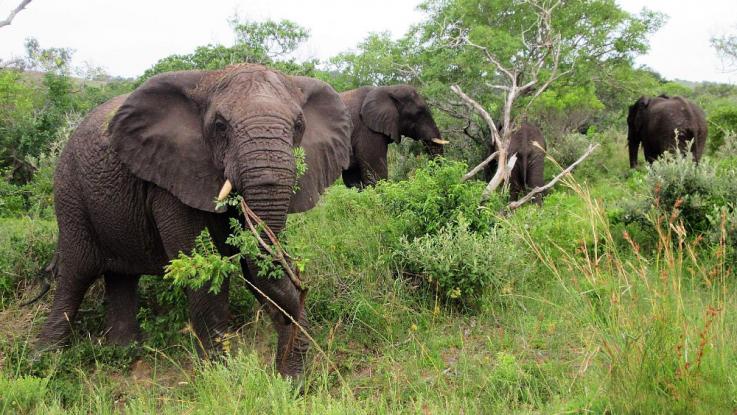 Pro školní rok 2026/2027 připravujeme další školní expedice