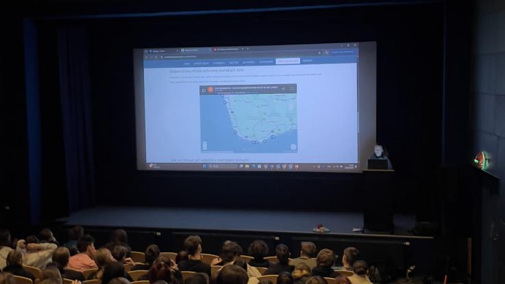 Záchrana mořských želv