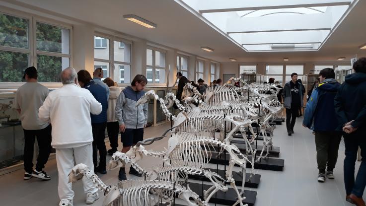 Návštěva Veterinární univerzity v Brně